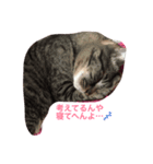 ねこやろ…（個別スタンプ：6）