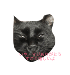 黒い猫が来た！（個別スタンプ：7）