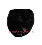 黒い猫が来た！（個別スタンプ：8）