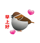 (In Chinene) CG Sparrow (2)（個別スタンプ：1）
