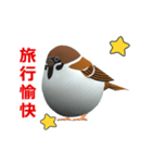 (In Chinene) CG Sparrow (2)（個別スタンプ：8）