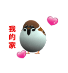 (In Chinene) CG Sparrow (2)（個別スタンプ：9）