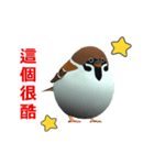 (In Chinene) CG Sparrow (2)（個別スタンプ：10）