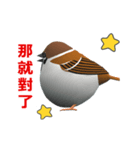 (In Chinene) CG Sparrow (2)（個別スタンプ：13）