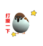 (In Chinene) CG Sparrow (2)（個別スタンプ：15）