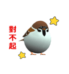 (In Chinene) CG Sparrow (2)（個別スタンプ：16）
