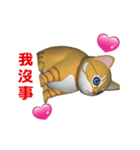 (In Chinene) CG Cat baby (2)（個別スタンプ：6）