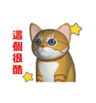 (In Chinene) CG Cat baby (2)（個別スタンプ：10）