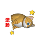(In Chinene) CG Cat baby (2)（個別スタンプ：12）