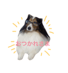全員集合！（個別スタンプ：2）
