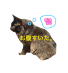 全員集合！（個別スタンプ：7）
