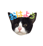 全員集合！（個別スタンプ：10）