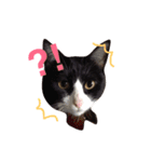 全員集合！（個別スタンプ：11）