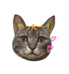 全員集合！（個別スタンプ：13）