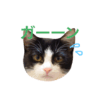 全員集合！（個別スタンプ：15）