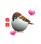 (In Chinene) CG Sparrow (1)（個別スタンプ：2）