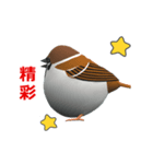 (In Chinene) CG Sparrow (1)（個別スタンプ：7）