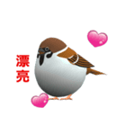 (In Chinene) CG Sparrow (1)（個別スタンプ：8）