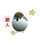 (In Chinene) CG Sparrow (1)（個別スタンプ：9）