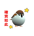 (In Chinene) CG Sparrow (1)（個別スタンプ：10）