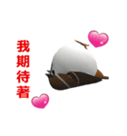 (In Chinene) CG Sparrow (1)（個別スタンプ：12）