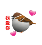 (In Chinene) CG Sparrow (1)（個別スタンプ：13）