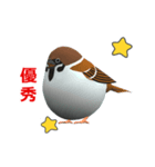 (In Chinene) CG Sparrow (1)（個別スタンプ：14）