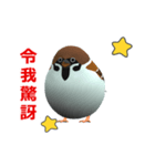 (In Chinene) CG Sparrow (1)（個別スタンプ：15）