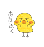 ヒヨコとニワトリのメッセージスタンプ3（個別スタンプ：25）