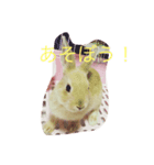 うさぎのつくし（個別スタンプ：2）