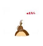 Apple Daily（個別スタンプ：27）