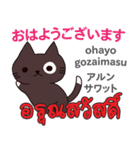 猫の毎日 日本語タイ語（個別スタンプ：1）