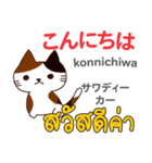 猫の毎日 日本語タイ語（個別スタンプ：2）