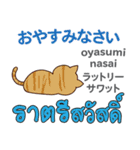 猫の毎日 日本語タイ語（個別スタンプ：4）