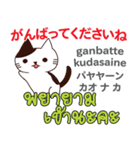 猫の毎日 日本語タイ語（個別スタンプ：5）