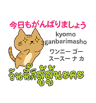猫の毎日 日本語タイ語（個別スタンプ：6）