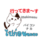 猫の毎日 日本語タイ語（個別スタンプ：7）
