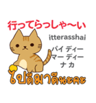 猫の毎日 日本語タイ語（個別スタンプ：8）