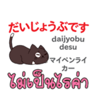 猫の毎日 日本語タイ語（個別スタンプ：12）