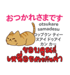 猫の毎日 日本語タイ語（個別スタンプ：14）