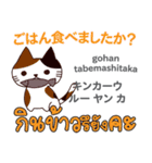 猫の毎日 日本語タイ語（個別スタンプ：15）