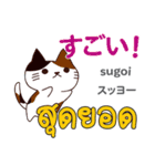 猫の毎日 日本語タイ語（個別スタンプ：16）