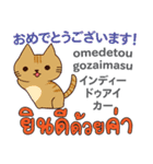 猫の毎日 日本語タイ語（個別スタンプ：17）