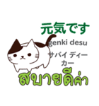 猫の毎日 日本語タイ語（個別スタンプ：18）