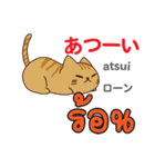 猫の毎日 日本語タイ語（個別スタンプ：26）