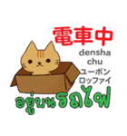 猫の毎日 日本語タイ語（個別スタンプ：28）