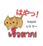 猫の毎日 日本語タイ語（個別スタンプ：31）