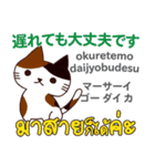 猫の毎日 日本語タイ語（個別スタンプ：32）