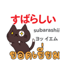猫の毎日 日本語タイ語（個別スタンプ：34）