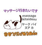 猫の毎日 日本語タイ語（個別スタンプ：38）